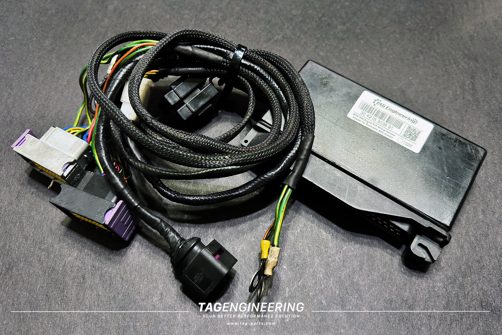 M42 | JNK Motorsport by TAG Engineering Group