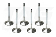 High Performance Triple Groove Intake Valve Set +1mm Oversize For BMW M20 Engine 高性能加大氣門組 (進氣端, +1mm) | JNK Motorsport by TAG Engineering Group