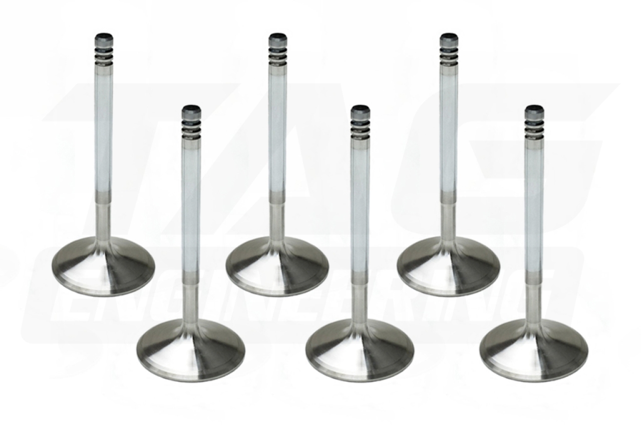 High Performance Triple Groove Intake Valve Set +1mm Oversize For BMW M20 Engine 高性能加大氣門組 (進氣端, +1mm) | JNK Motorsport by TAG Engineering Group