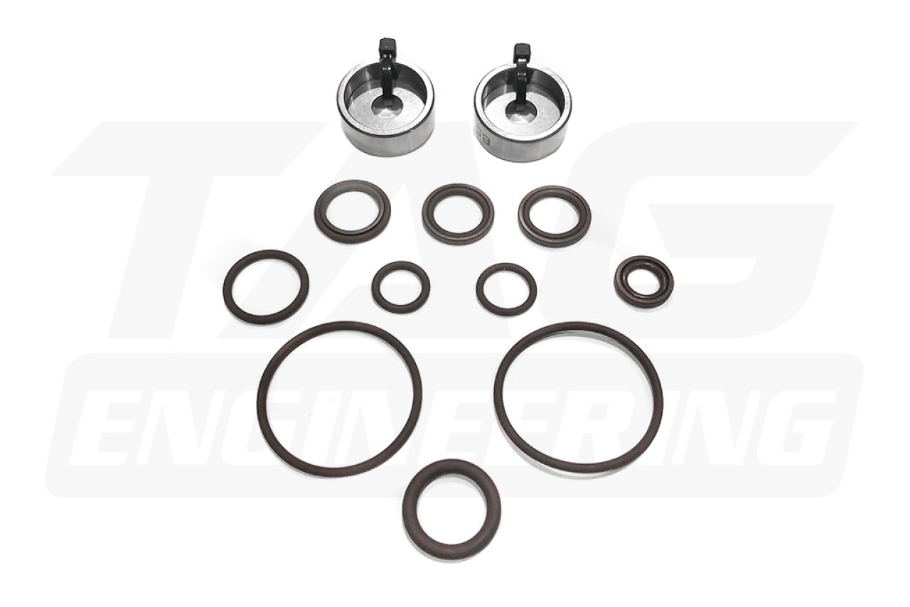 Dual Vanos Repair Kit (Seals+Rattle) For BMW S54B32 Engine 高品質單可變機構維修包 | JNK Motorsport by TAG Engineering Group