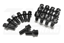 JNK 20Pcs M14 Gr5 TC4 Titanium Wheel Lug Bolt Set 輕量化高強度車輪螺絲組 (鈦合金) | JNK Motorsport by TAG Engineering Group